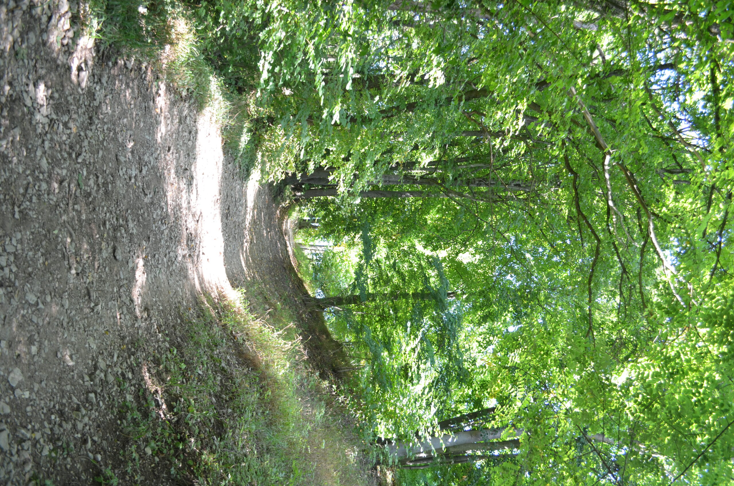 DJK 2024 Seniorenwanderungen